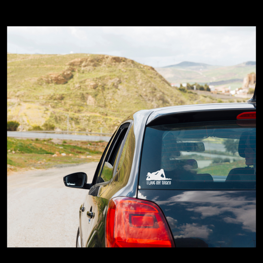 I Love My Tóxico” – Vinyl Car Decal (Because... duh 😘)
